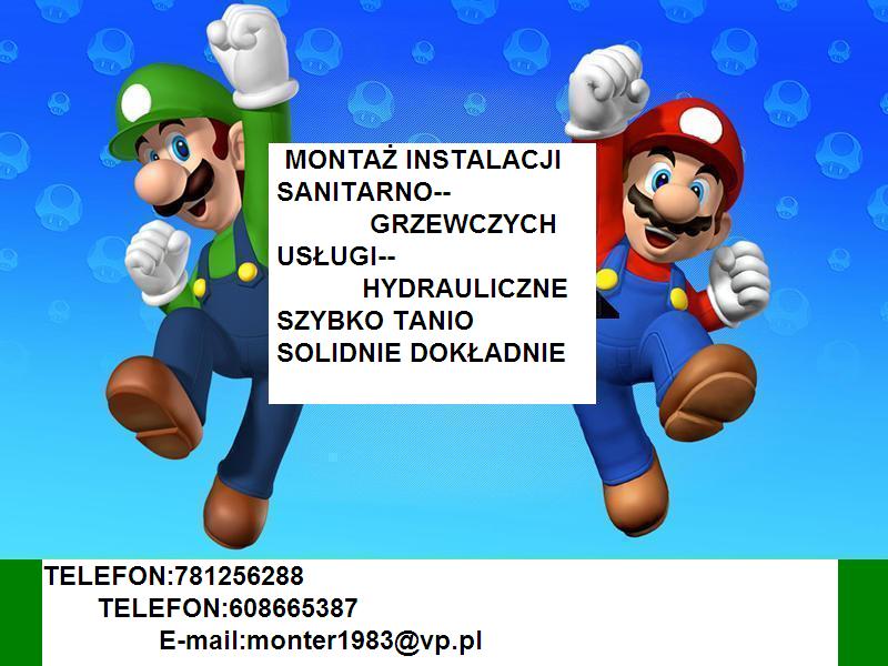 Reklama usług hydraulicznych z postaciami Mario i Luigi, oferująca montaż instalacji sanitarno-grzewczych szybko, tanio, solidnie i dokładnie, z podanymi numerami telefonów i adresem e-mail.